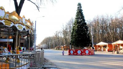 В Рязани установят тридцать новогодних елей